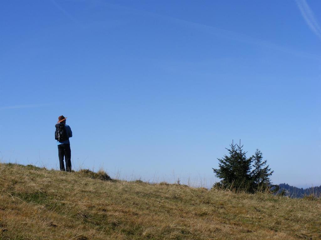 Ferienwohnung Landhaus Martin Sonthofen Buitenkant foto